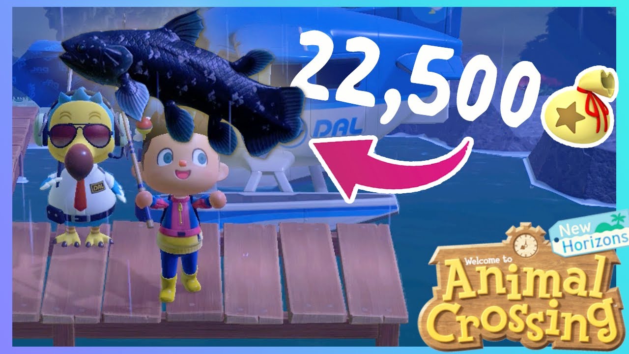 Catching a Coelacanth!! Animal Crossing New Horizons YouTube