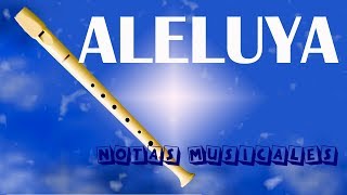 Video-Miniaturansicht von „NOTAS DE ALELUYA PARA FLAUTA DULCE“