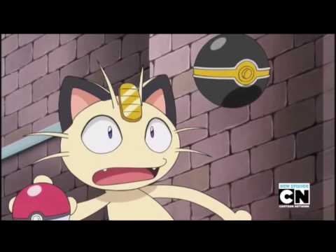 Pikachu almost caught Meowth