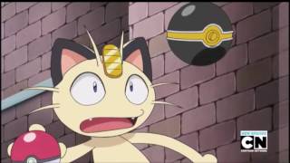 Pikachu almost caught Meowth screenshot 3