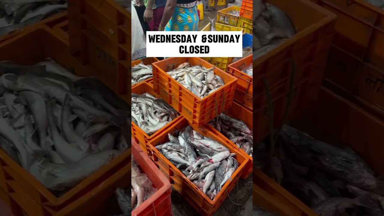 Cheapest fish 🐟 market near mumbai #fishmarket