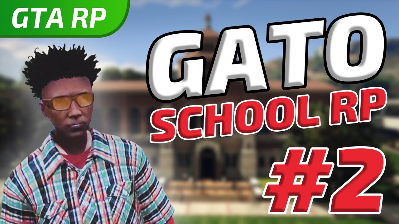 BEST OF #5 - GATO ET LES PREMIÈRES EMBROUILLES A L'ECOLE