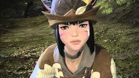 FFXIV To Catch a Poacher