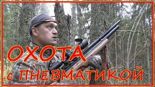 АТАМАН М2 vs рябчик ! Охота с пневматикой на рябчика и мастеркласс: как манить рябчика. screenshot 2