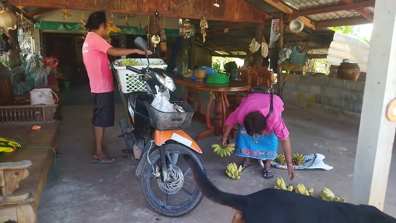 ป้าคำใสไปแล้ว ! ขายของตลาด # ช่องหมวดฟื้น ตนธรรมดา