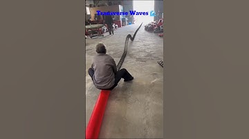 The Waving Wonder of Transverse Waves #3d #trending #shorts