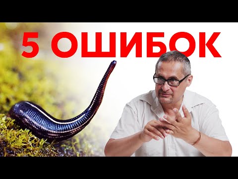 5 ОШИБОК при постановке пиявок