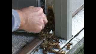 How to fix rotten door wood.