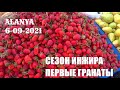 АЛАНЬЯ РЫНОК ФРУКТОВ КУПИЛ ДЕШЕВЫЕ ПЕРСИКИ СУПЕРПОМИДОРЫ И ВКУСНЕЙШИЙ ИНЖИР