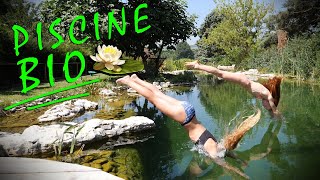 Piscine Bio, petit paradis  Découverte Aquatique