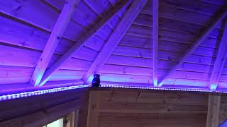 Ledtekfi Rgb Led Strip Rgb Led-Nauha