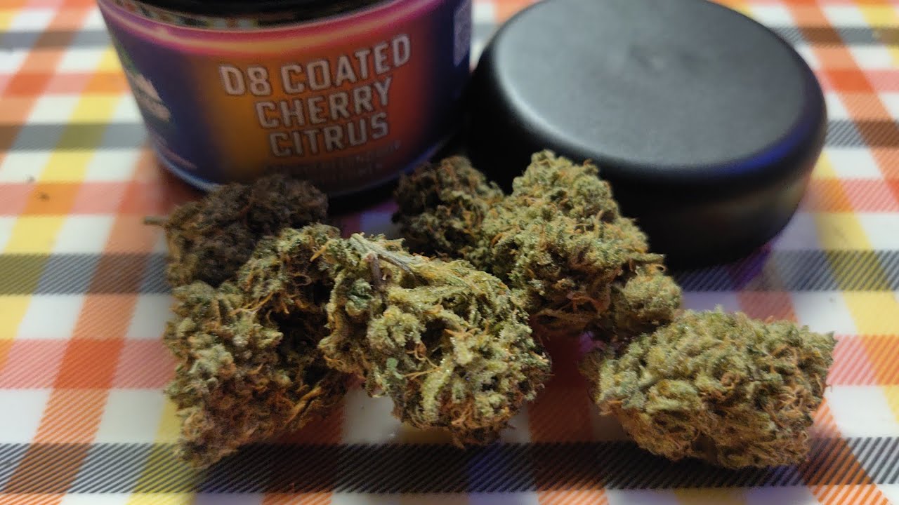 Adirondack Hemp Company Delta 8 Flower Cherry Citrus strain review!🍒🔥 Exotic indoor CBD flower!