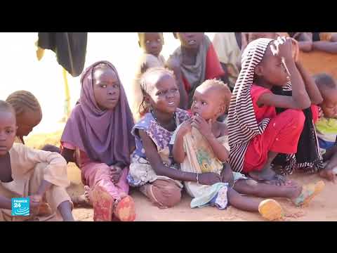 الفاشر السودانية: حصار، قصف، وجوع وباء الكوليرا يهدد النازحين