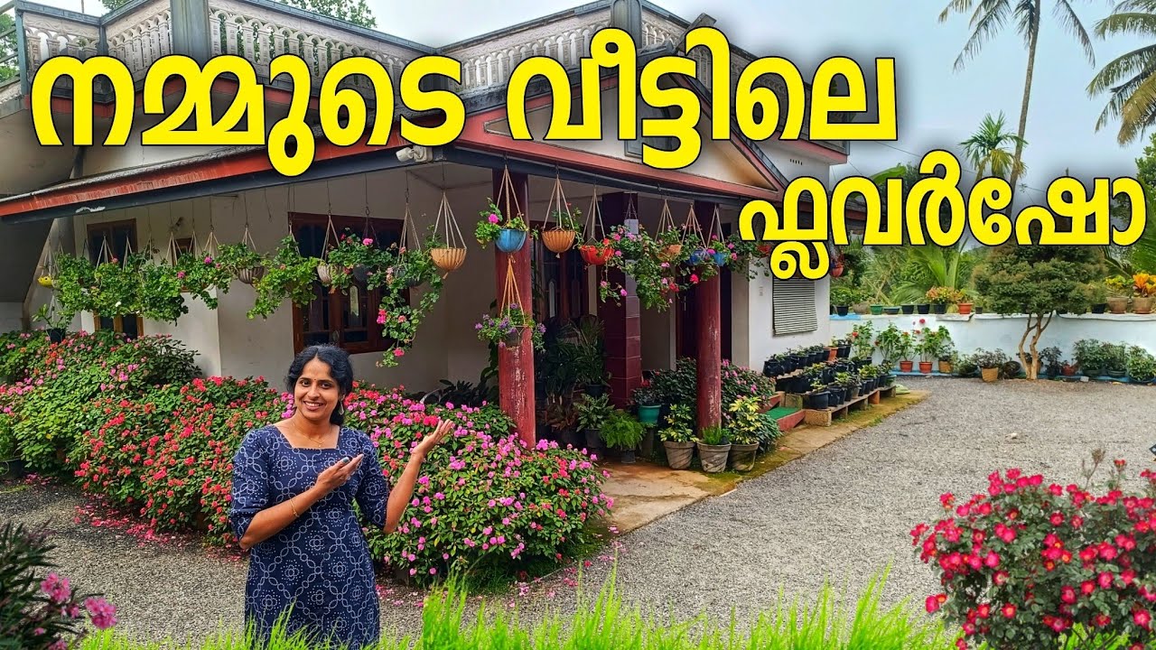 എന്റെ പൂന്തോട്ടം പൂക്കൾ കൊണ്ട് നിറഞ്ഞു ഇതുപോലെ നിങ്ങൾക്കും വേണ്ടേ |flowersho