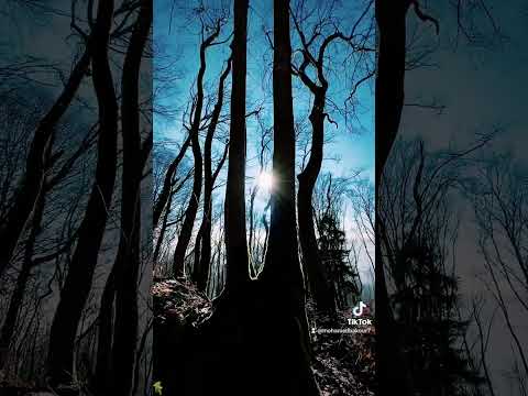 فيديو أصالة نصري لما جت عينك في عيني وبتدا بينهم كلام