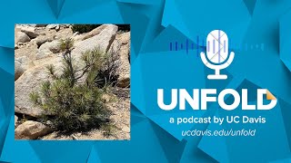 Climbing To Extremes Unfold Podcast