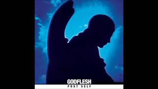 Godflesh - Pre Self