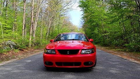 Buying an 03/04 Cobra In 2021 & Beyond / What You Need To Know