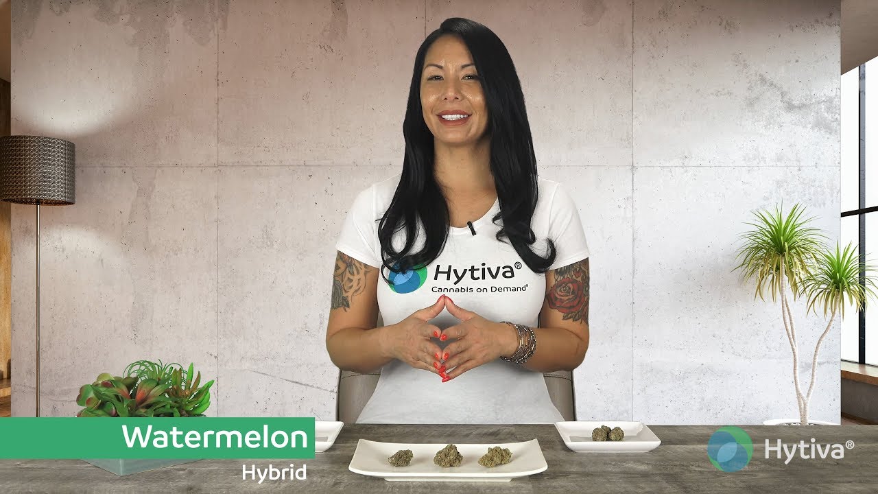 Watermelon Strain Review