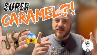 Possible SUPER CARAMEL Citrus Tigers?!