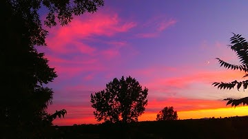 How to make your website mobile friendly and optimized.