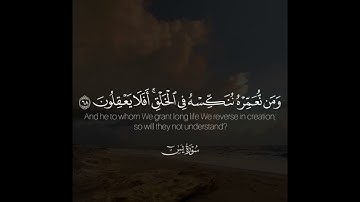 ﴿وَمَن نُعَمِّرهُ نُنَكِّسهُ فِي الخَلقِ أَفَلا يَعقِلونَ﴾ | القارئ: راشد الحليبة