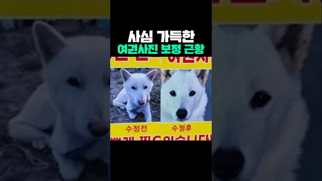 사심 가득한 여권사진 보정 근황