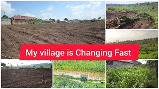 From My Quiet remote Village   to Big Developments — My Village Is Changing Fast!”😭😭
