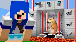 ESSE HAMSTER TAVA 100% PROTEGIDO E IMPOSSIVEL DE PEGAR... (FIND CHOMIKS MINECRAFT)