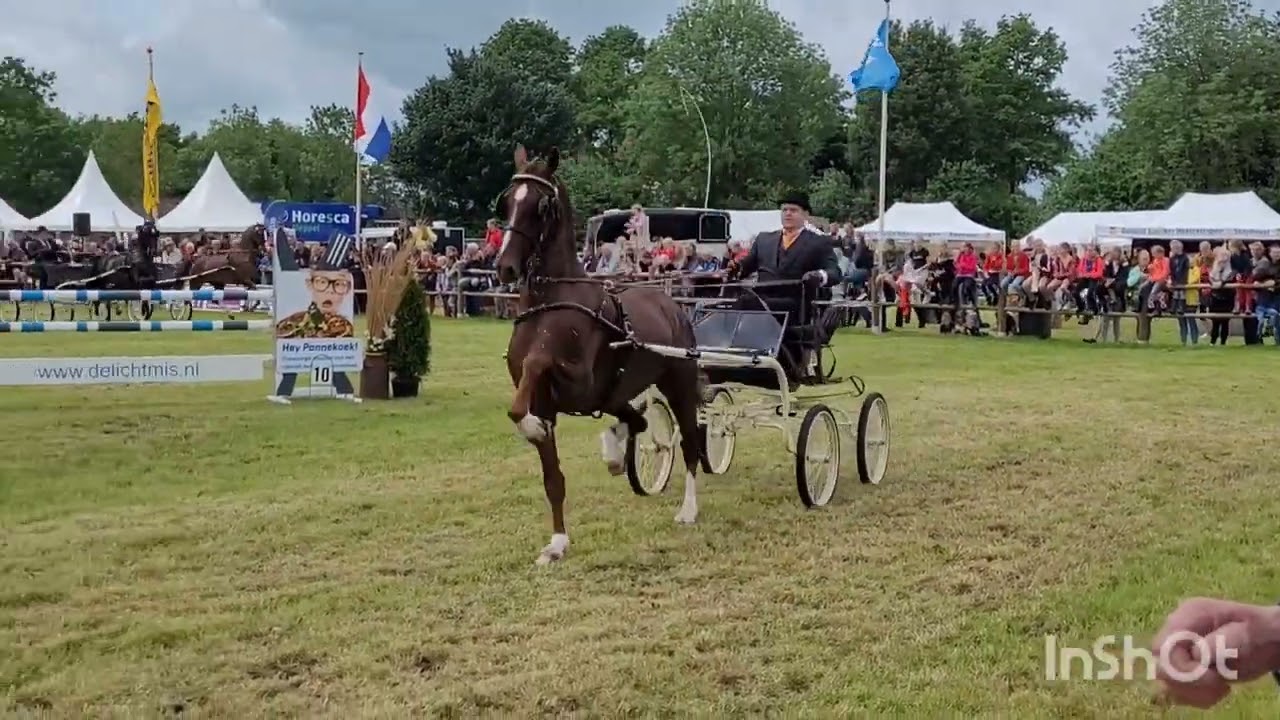 Vlog #72 Impressie voorbereiding en CH Rouveen