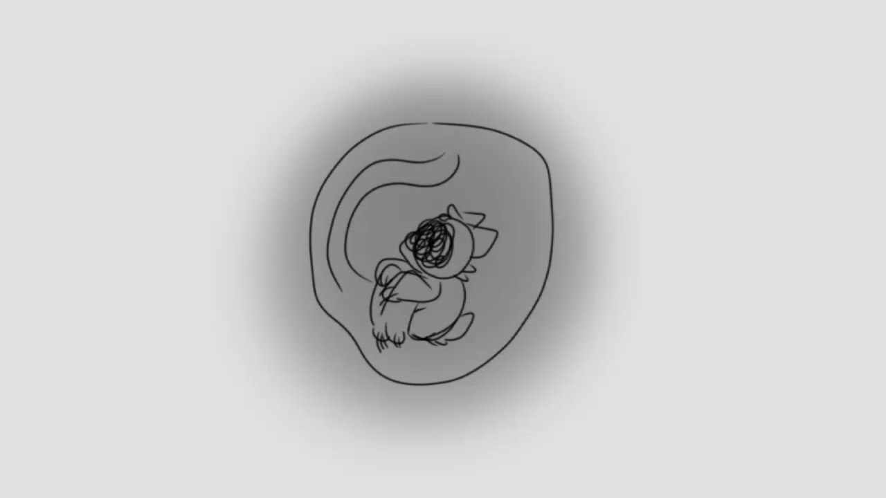 Where did this come from