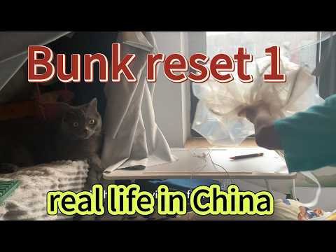 Bunk Bed Reset | Spending Time with My Cat as a 40+ Single Woman in China