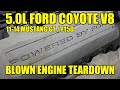 Blown Up Ford 5.0 Coyote V8 Total Teardown! 2011-2014 Mustang GT / F150