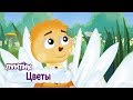 Цветы 🌸 Лунтик 🌺 Сборник мультфильмов для детей