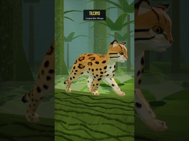 NEW CHARACTERS JUST DROPPED