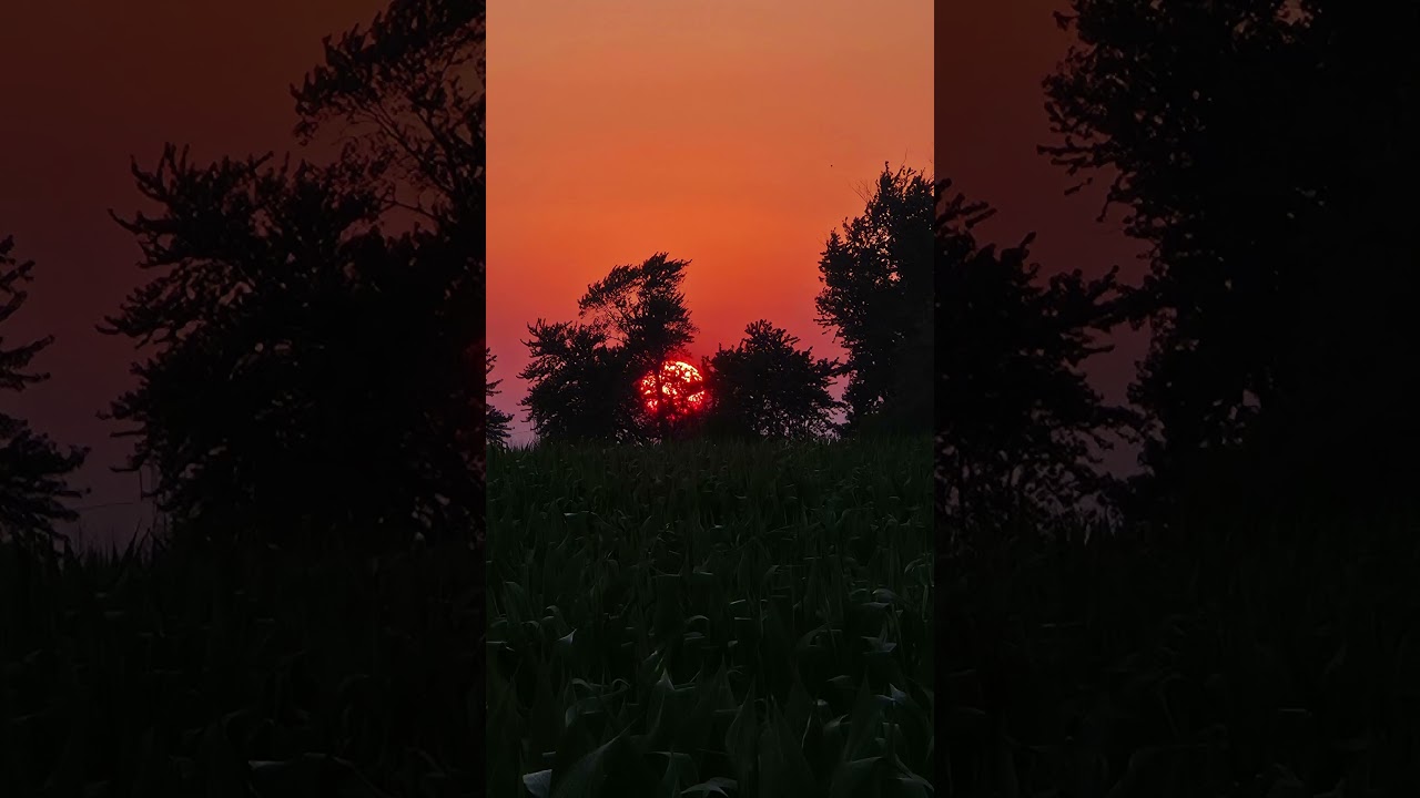 Кофе-брейк (экспресс), скрытый от гнева Божьего навеки через Христа.