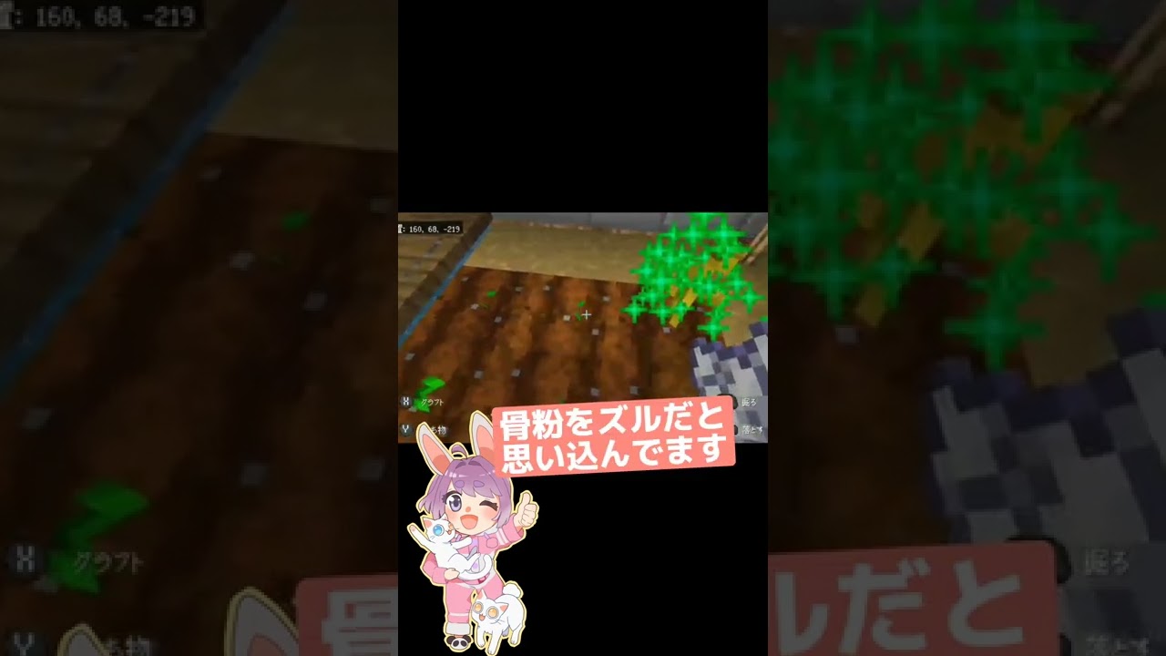 マイクラ初心者 かぼちゃって種を植えるだけじゃないの Shorts マイクラ Minecraft 動画まとめ マイクラ初心者 かぼちゃって種を植えるだけじゃないの Shorts マイクラ Minecraft 動画まとめ