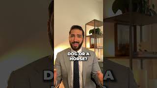 Lawyers Reaction To A Shocking Dog Attack