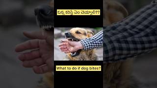 Dog Bite – What To Do Immediately | First Aid Tips in Telugu | Dog Bite Treatment Guide🩺🩺💉💉