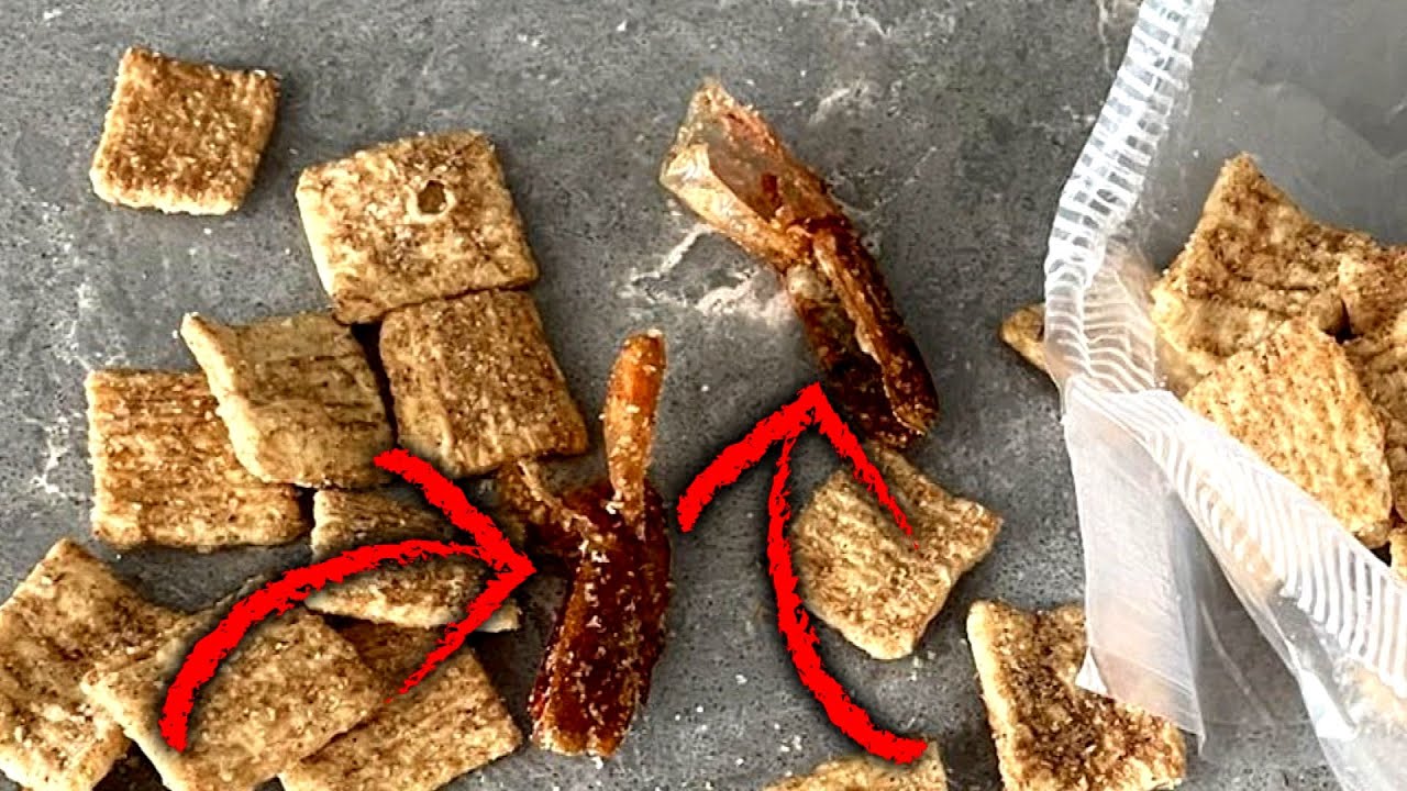 Man Who Says Cinnamon Toast Crunch Had Shrimp In It Is Getting Them DNA