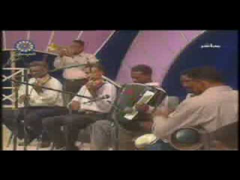 محمود عبد العزيز الأهيف