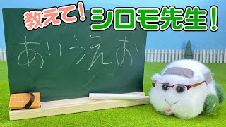 【モルカー】教えて！シロモ先生！あいうえお編｜天竺鼠車車、Molcar