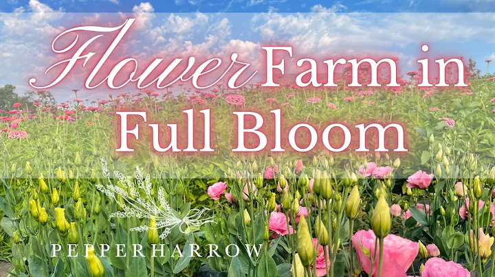 FULL BLOOM FLOWER FARM! | PepperHarrow | Episode 14