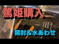 めだか開封動画&水あわせ☆銀帯が綺麗な篤姫（あつひめ）めだかを購入してみた！