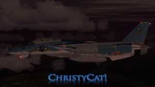 Christycat Promo Video For Fsx Iris F-14 Tomcat