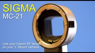 Sigma MC-21 Mount Adaptor - Canon EF - L Mount