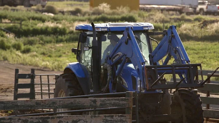 BC Dairy Farmer - Laura Hunter