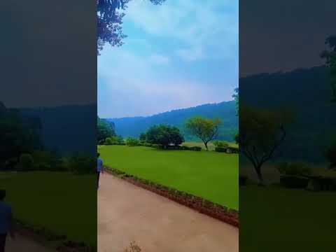 Good vibes 🍃🌥️ #naturelovers #viralvideo #shortfeed #ytshorts #explore #subscribemychannel