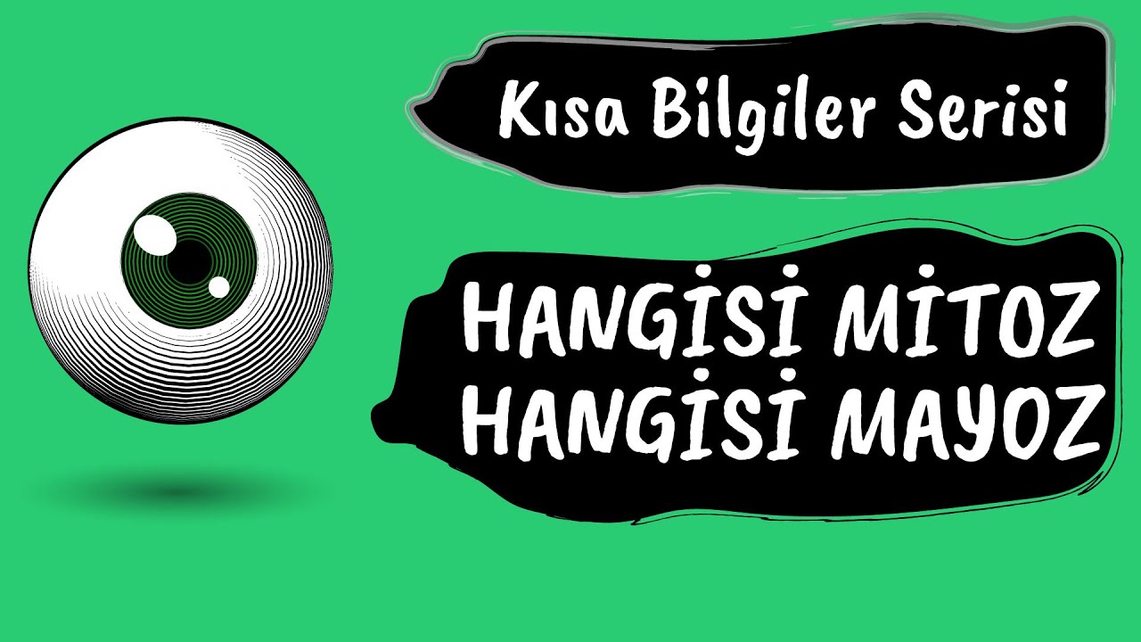 Verilen Şeklin Mitoz mu Mayoz mu Olduğunu Tanıma