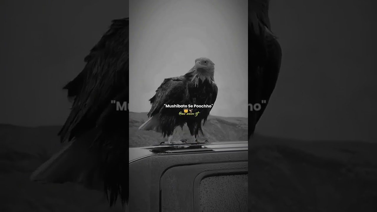 #unfrezzmyaccount #attitude #trending #viral #viral #love — KAMBAKHT DIL 92 YouTube video